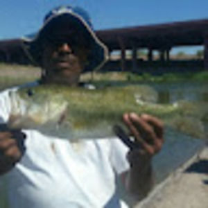 Meet your Posher, Cyril